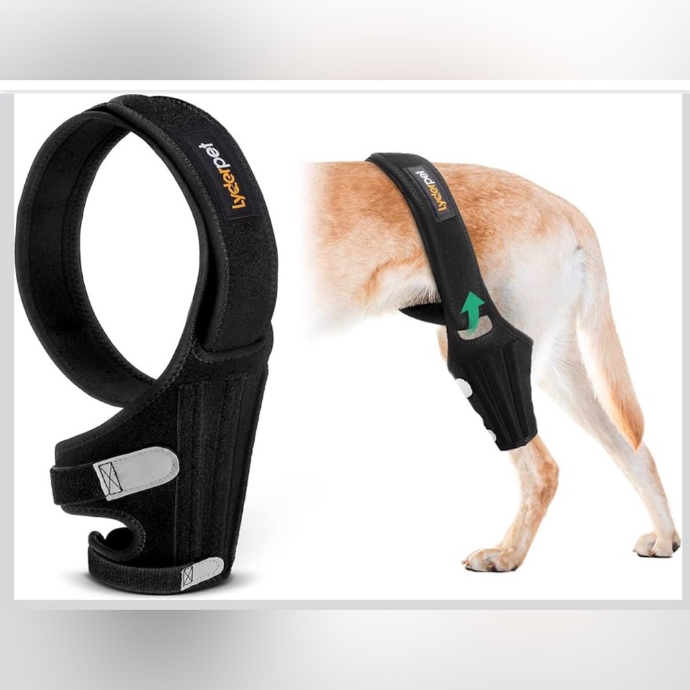 XS Dog Knee Brace for Support of Back Leg